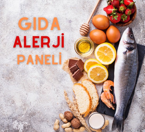 Gıda Alerji Paneli