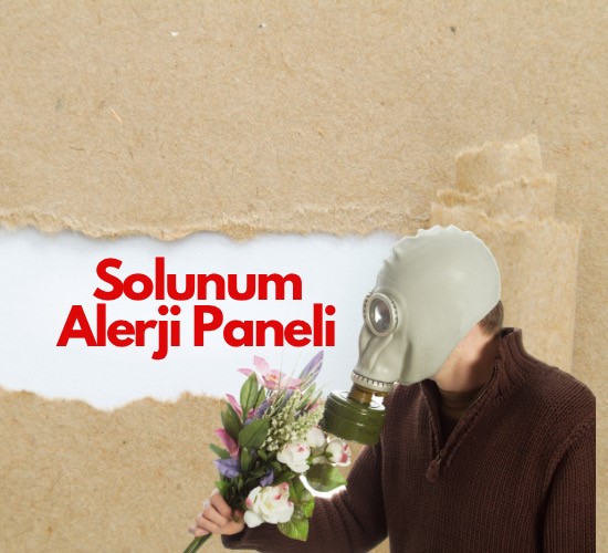 Solunum Alerji Paneli