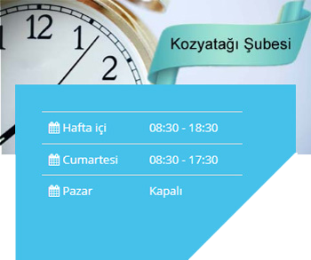 Kozyatağı Şubesi Çalışma Saatleri